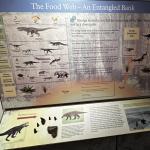 2023OTRA_746 (May 07, 2023)